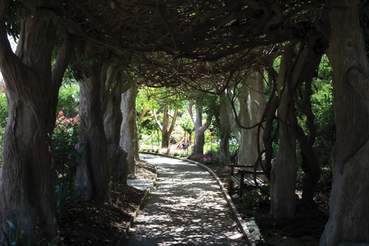 Twisted Branch Underpass